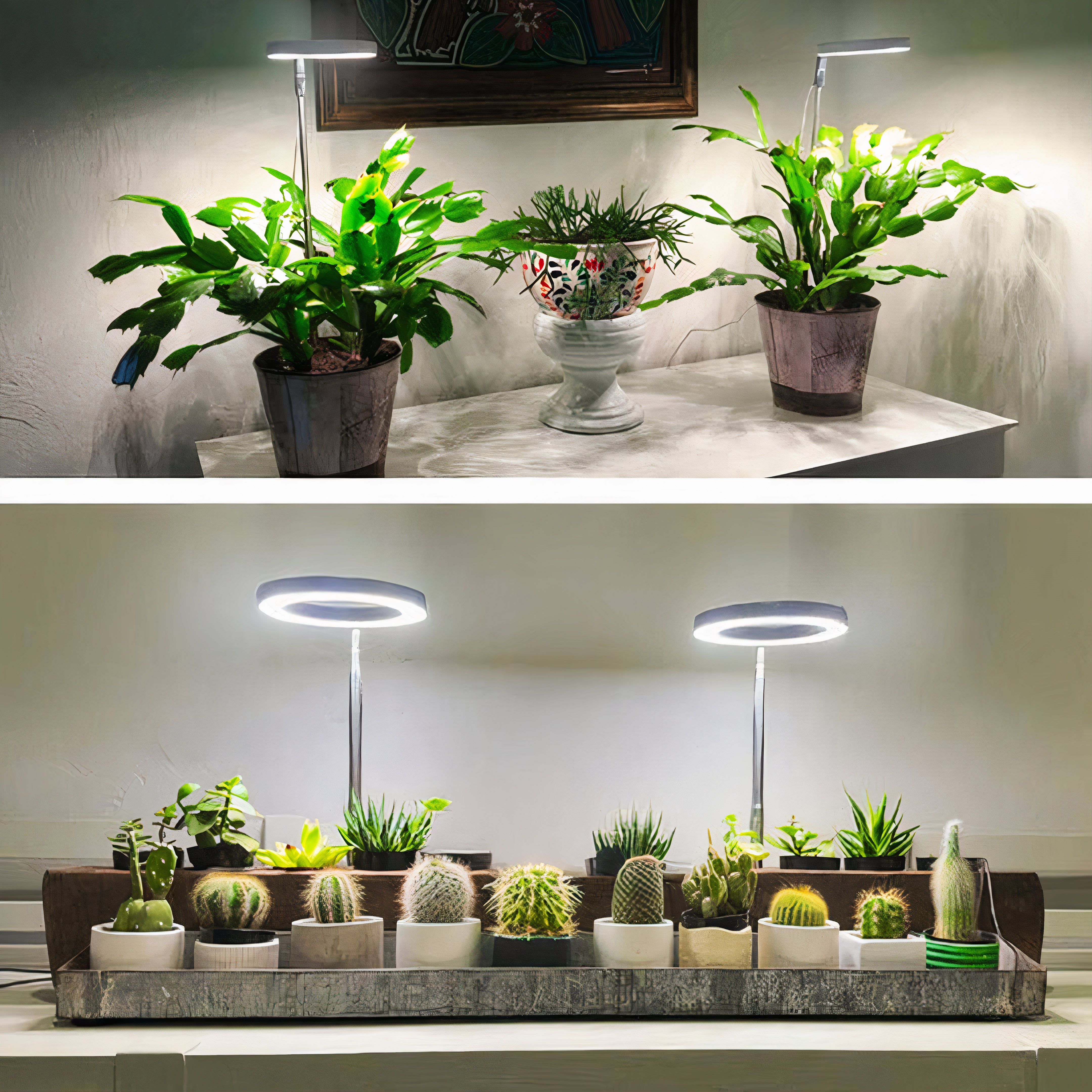 Full Spectrum LED Grow Light | Dimmable, Timer, Adjustable Height