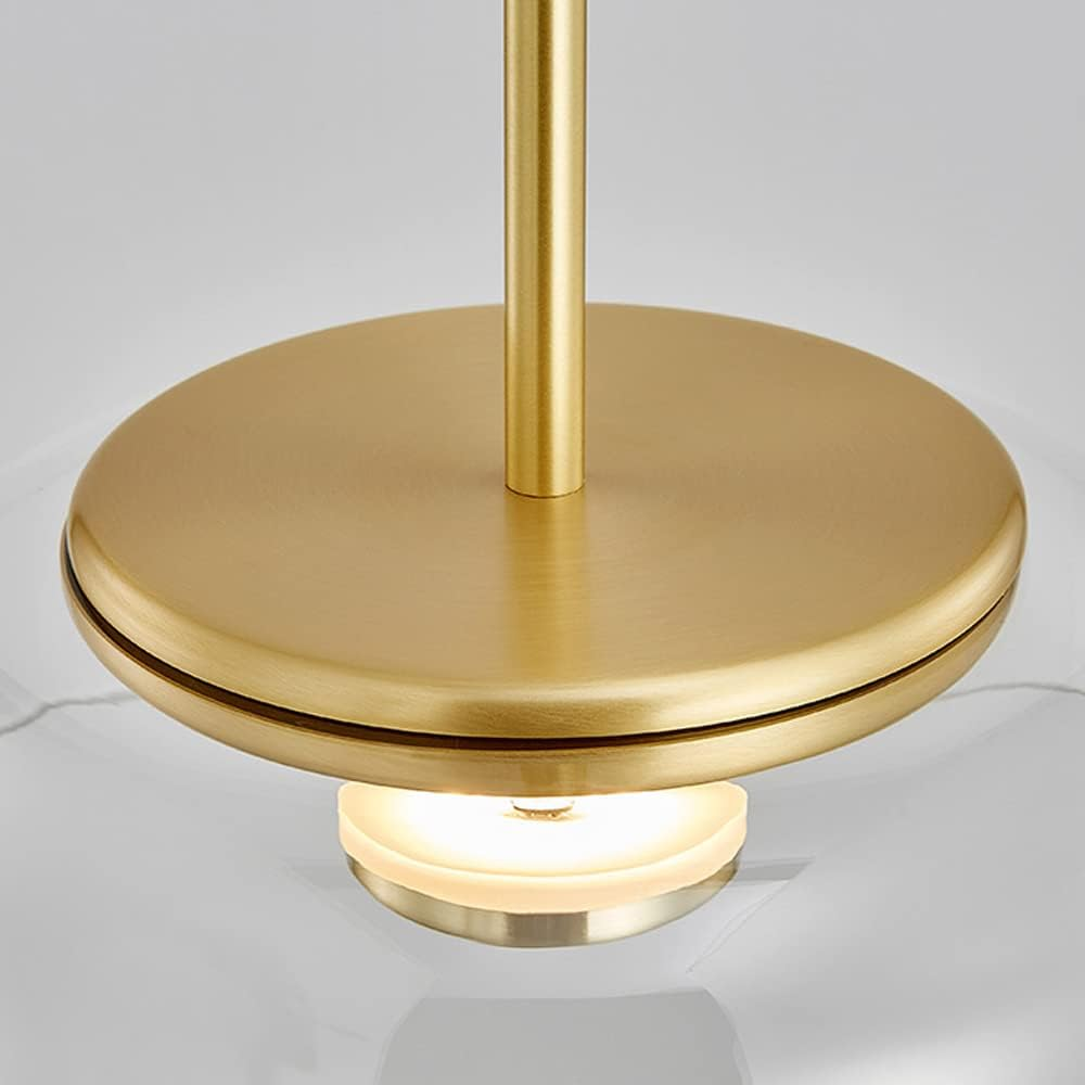 Round Glass and Metal Pendant Light | Modern LED, Adjustable Drop