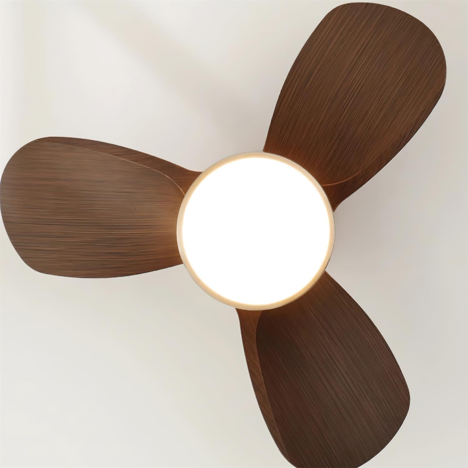 Wood Ceiling Fan with LED Light | Walnut and Nickel, 24 in