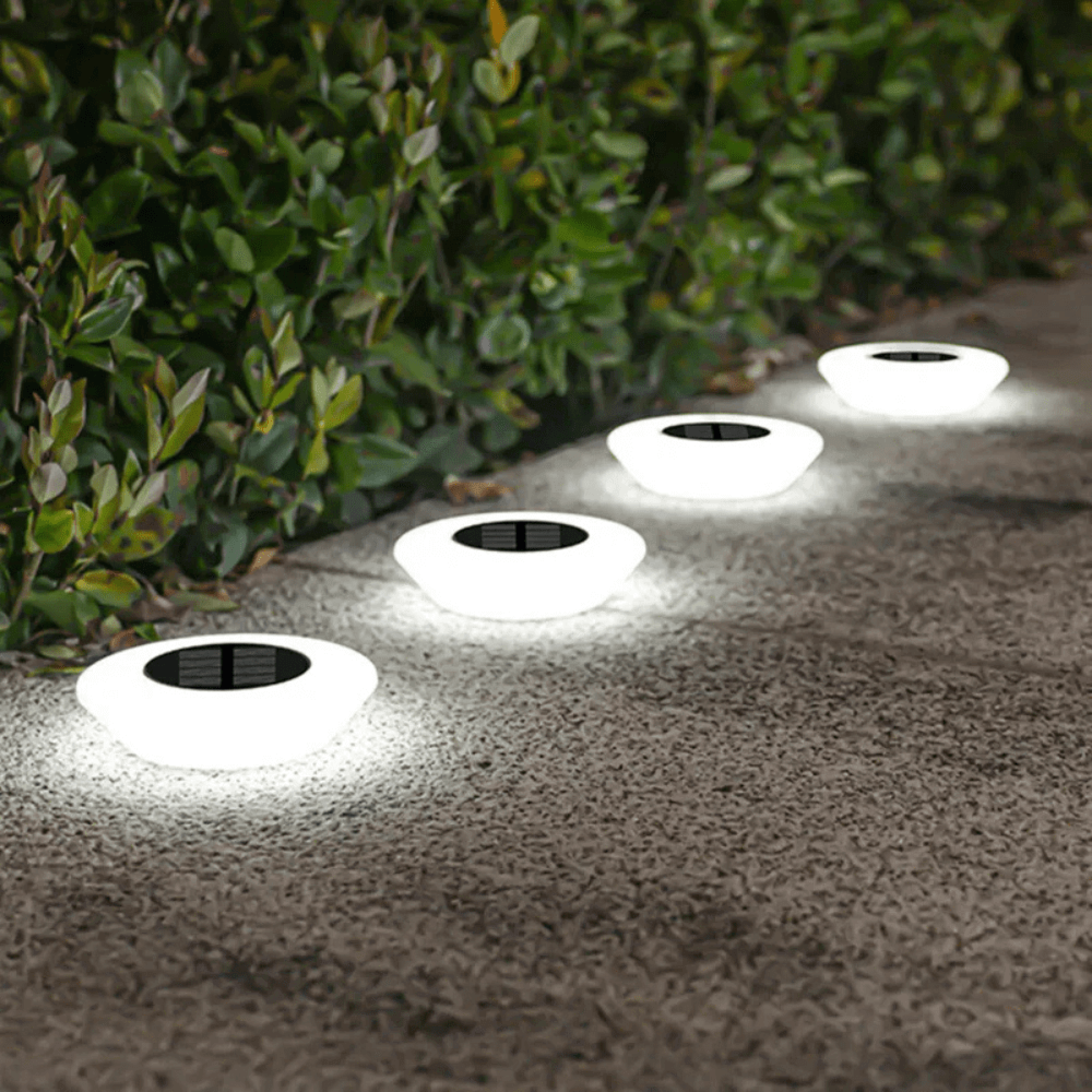 Solar Garden Lights Outdoor | IP65 Weatherproof LED Path Lights