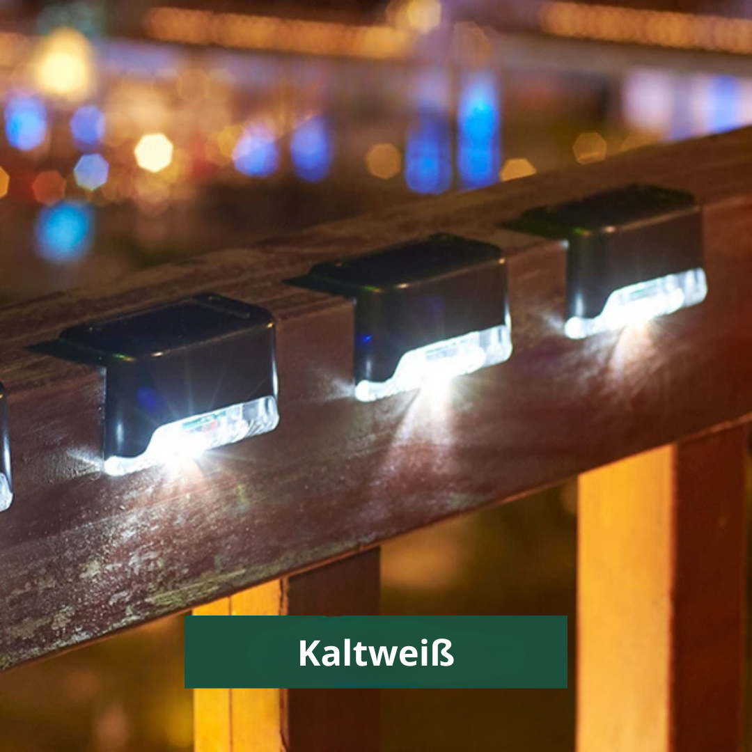 Solar Garden Wall Lights | Set of 5, IP65 Weatherproof, Auto On/Off